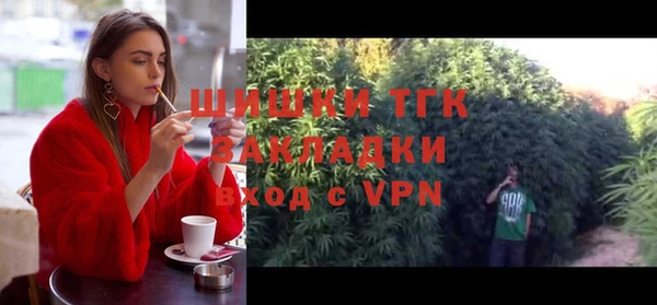дживик Осташков