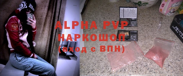 дживик Осташков